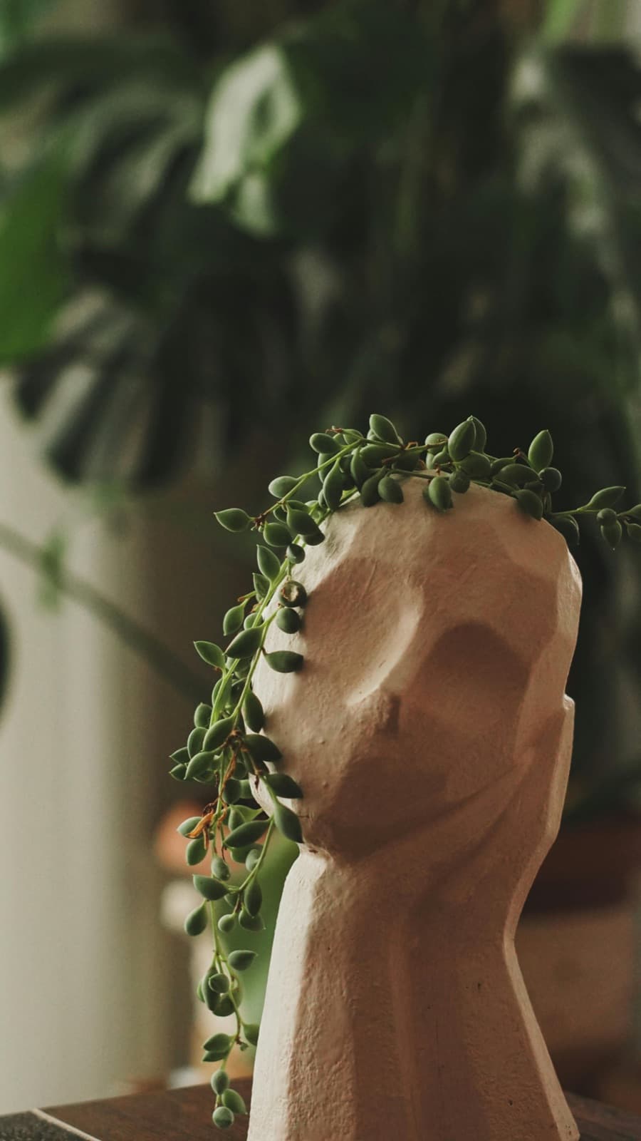 Planta trofeo Jardín Amazónico