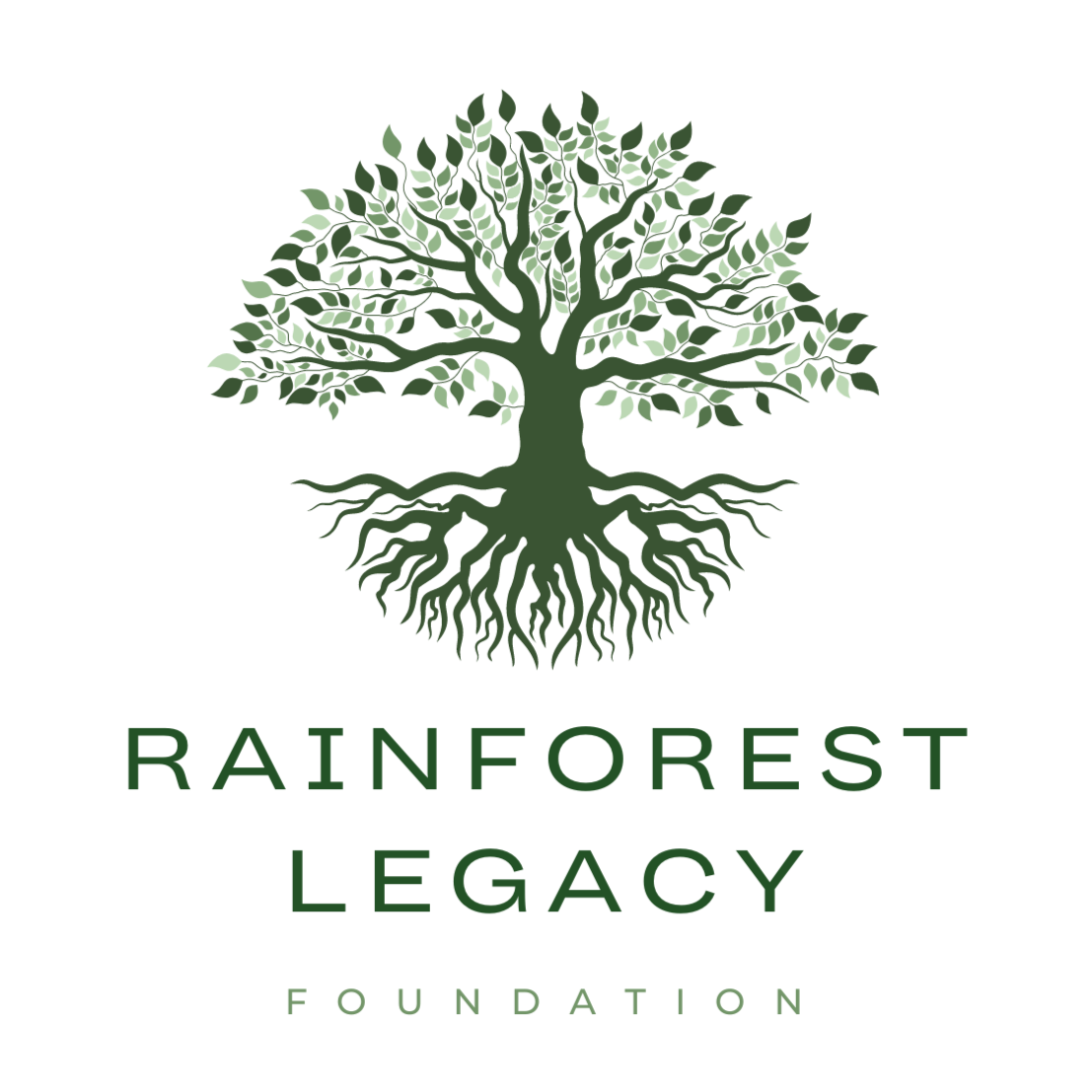 Rainforest Legacy Foundation